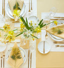 Festival Oblong Cocktail Napkins