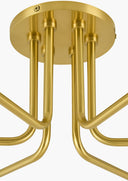 Antibodi  6-Light Pendant