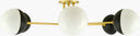Antibodi  6-Light Pendant