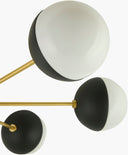 Antibodi  6-Light Pendant