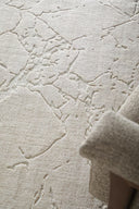 Aldrich Rug- Thom Filicia Collection