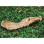 Teak Leaf Outdoor Bowl