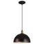 Placuna 1 Light Pendant