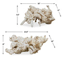 Elemental Root