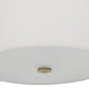 Colfax Semi Flush 3 Light Fixture