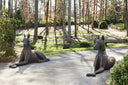 Bronze Great Dane Sculpture