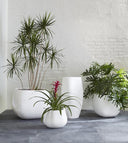 Amorphous Large Planter