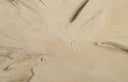 Colossal Freeform Wall Art