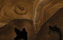 Teak Slice Side Table