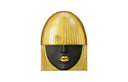 Fashion Faces Wall Art