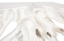 Contour Cast Root Console