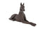 Bronze Great Dane Sculpture