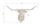 Longhorn Bull Wall Art