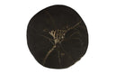 Cast Petrified Wood Stool