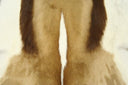 Hair Hide Chair