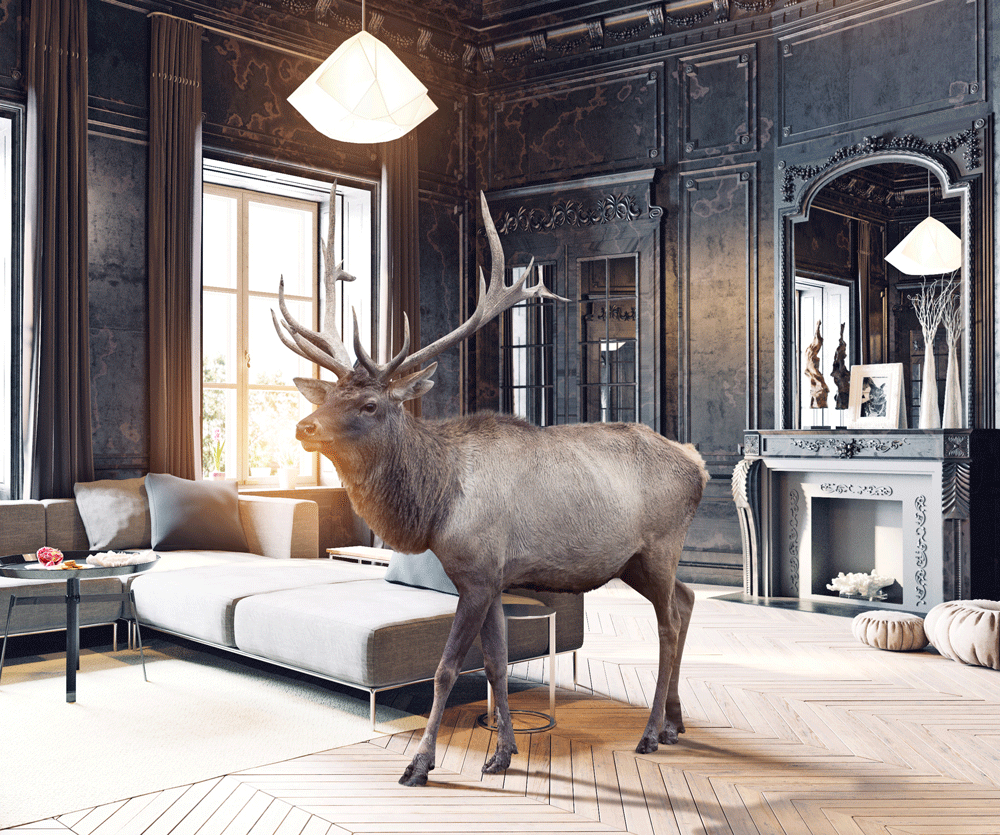 Hunt Club