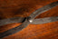 The Raven's Claw
