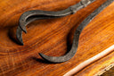The Raven's Claw