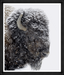 White Out Bison