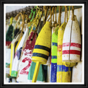 The Buoys are Ready