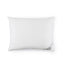 Buxton Pillow