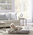 Lettino Dog Bed