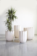 Tulip Planter Slim/Tall