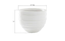 June Planters